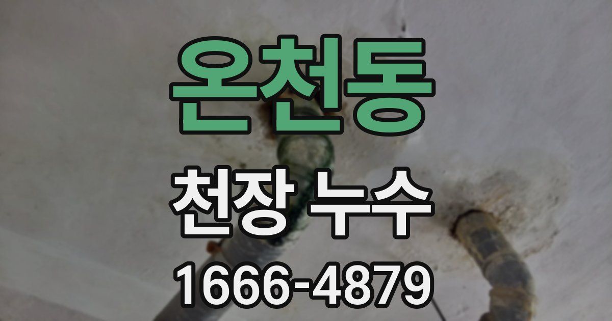 온천동 천장 누수