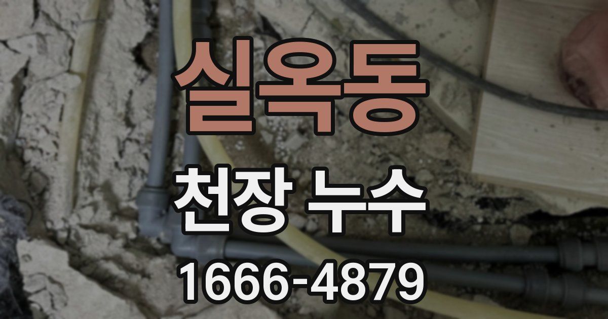 실옥동 천장 누수