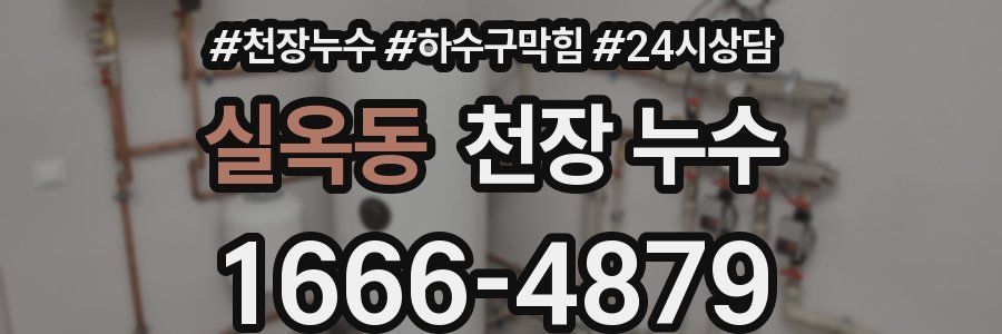 실옥동 천장 누수