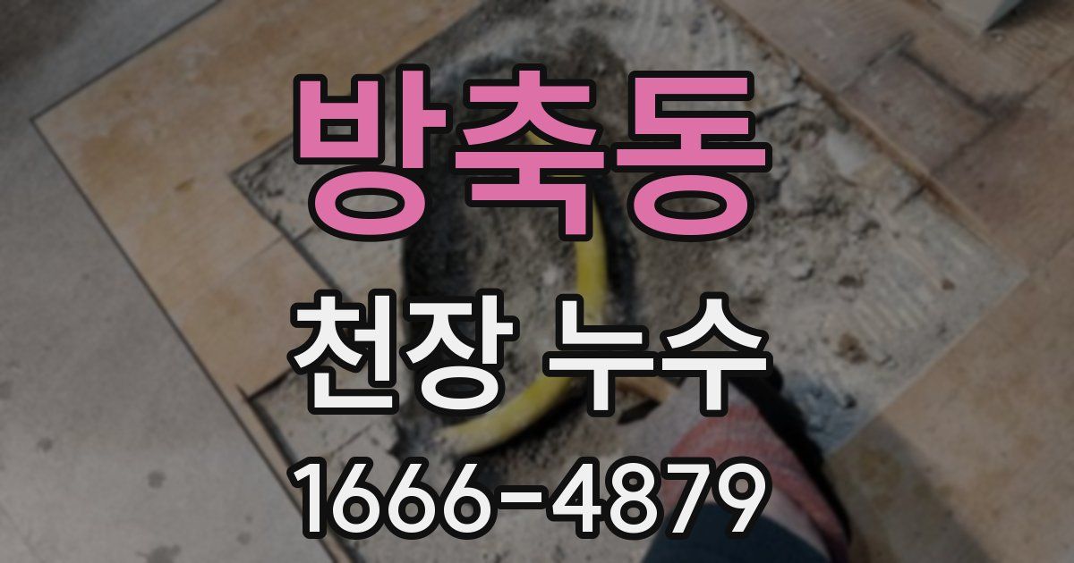 방축동 천장 누수