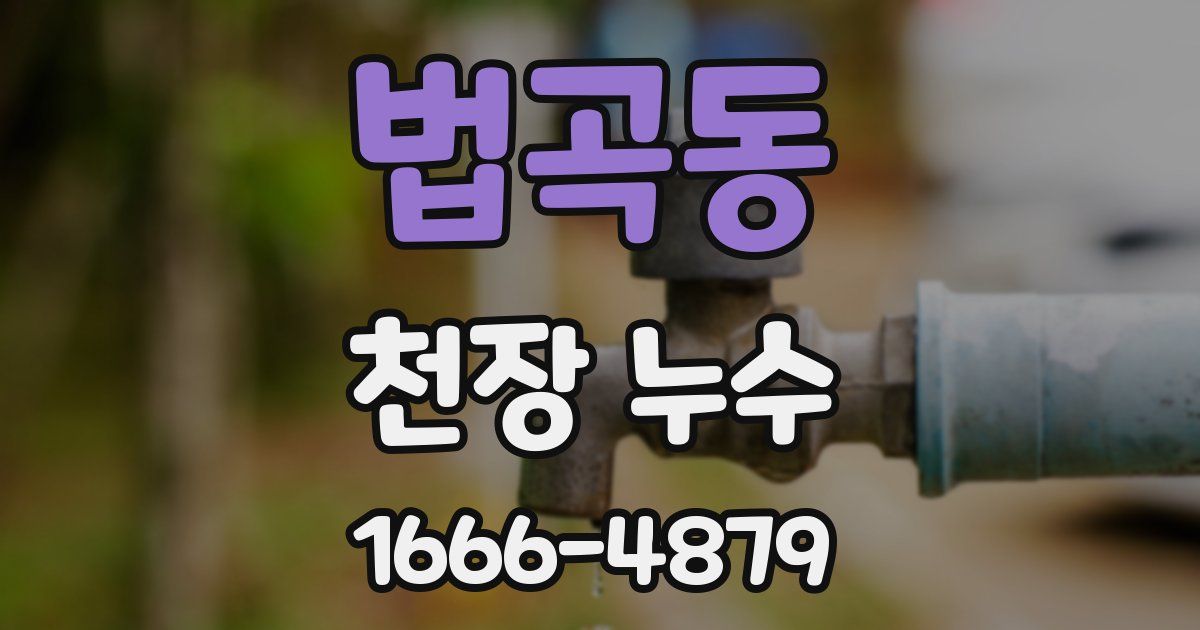 법곡동 천장 누수