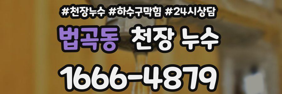 법곡동 천장 누수