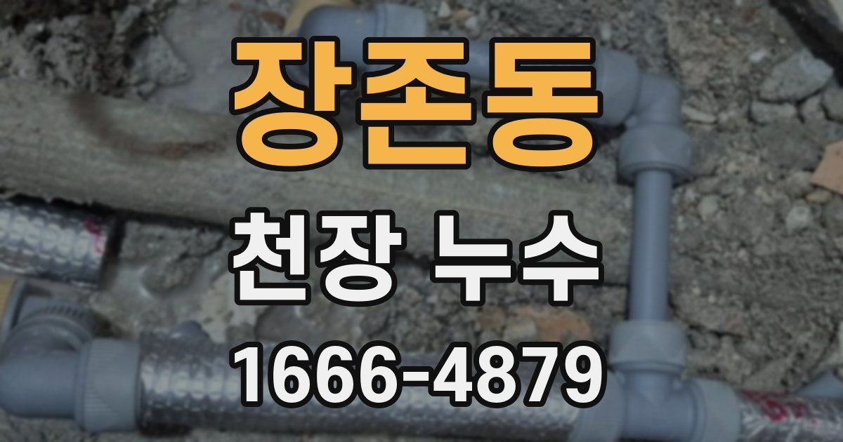 장존동 천장 누수