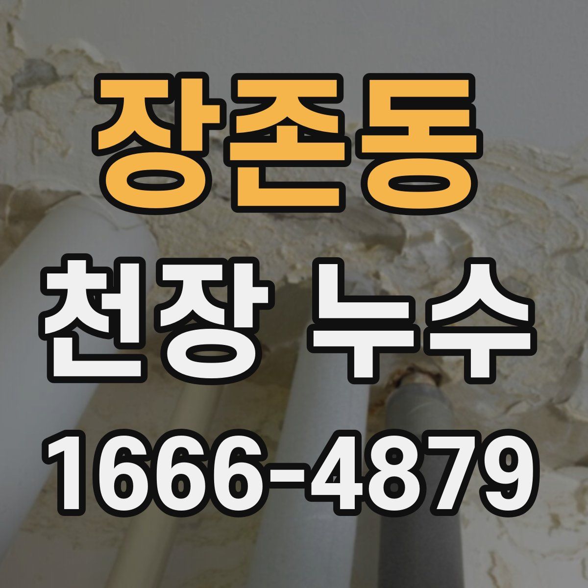 장존동 천장 누수