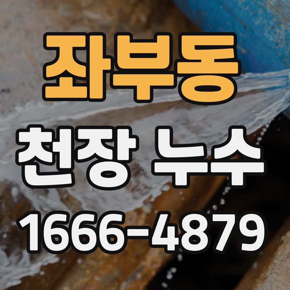 좌부동 천장 누수