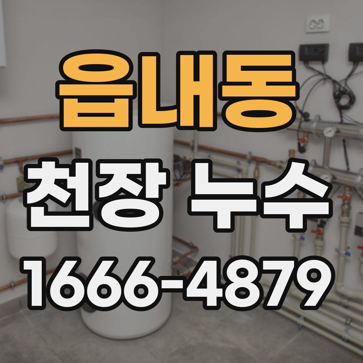 읍내동 천장 누수