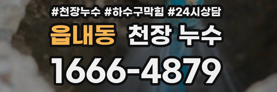 읍내동 천장 누수