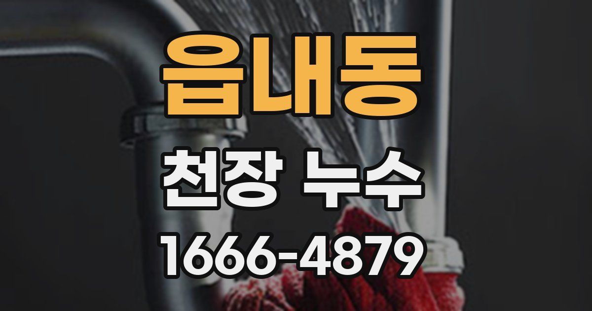 읍내동 천장 누수