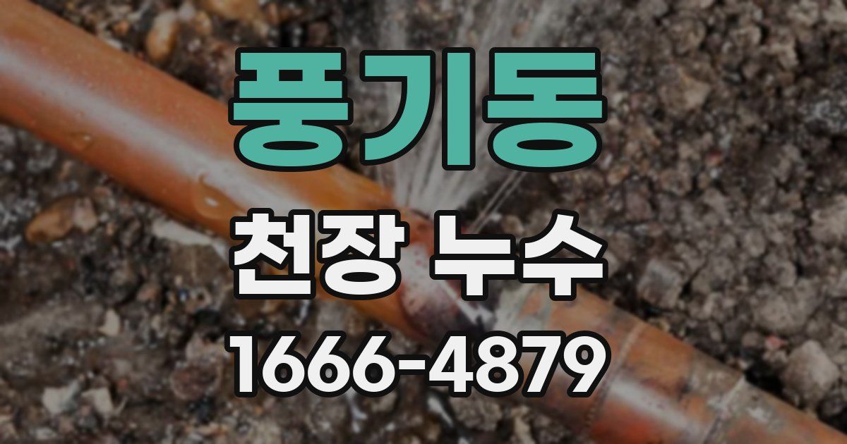풍기동 천장 누수