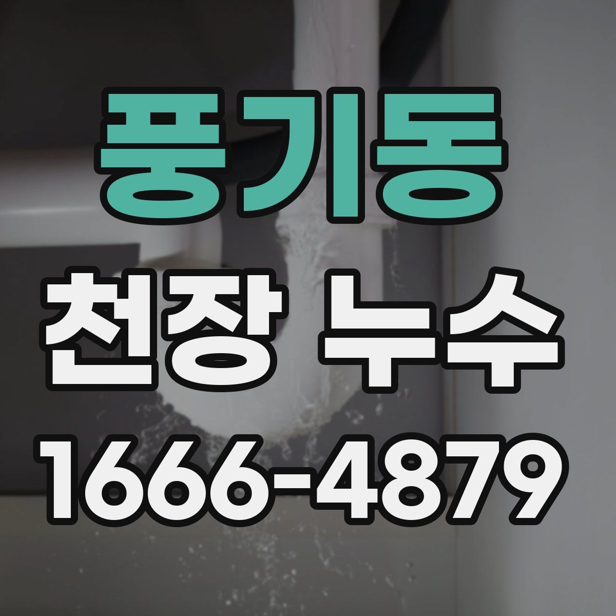 풍기동 천장 누수