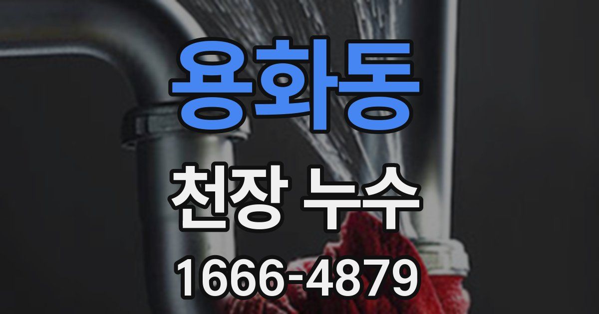 용화동 천장 누수