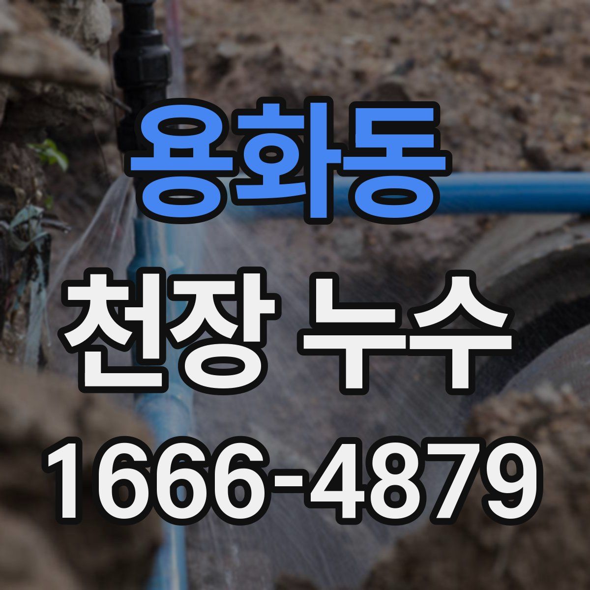 용화동 천장 누수