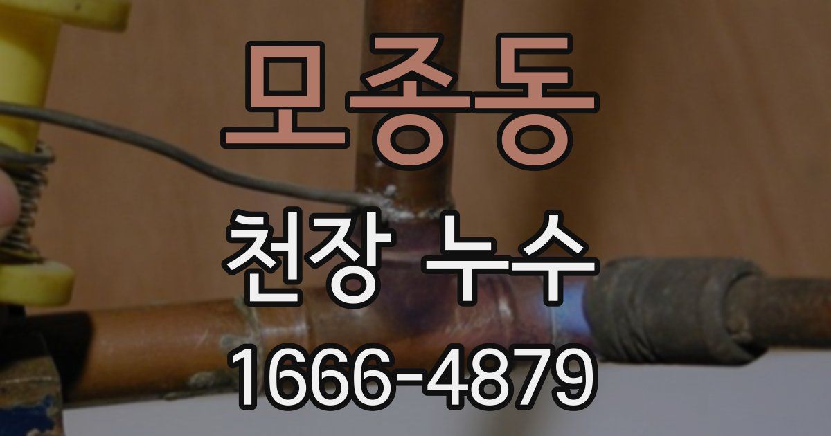 모종동 천장 누수