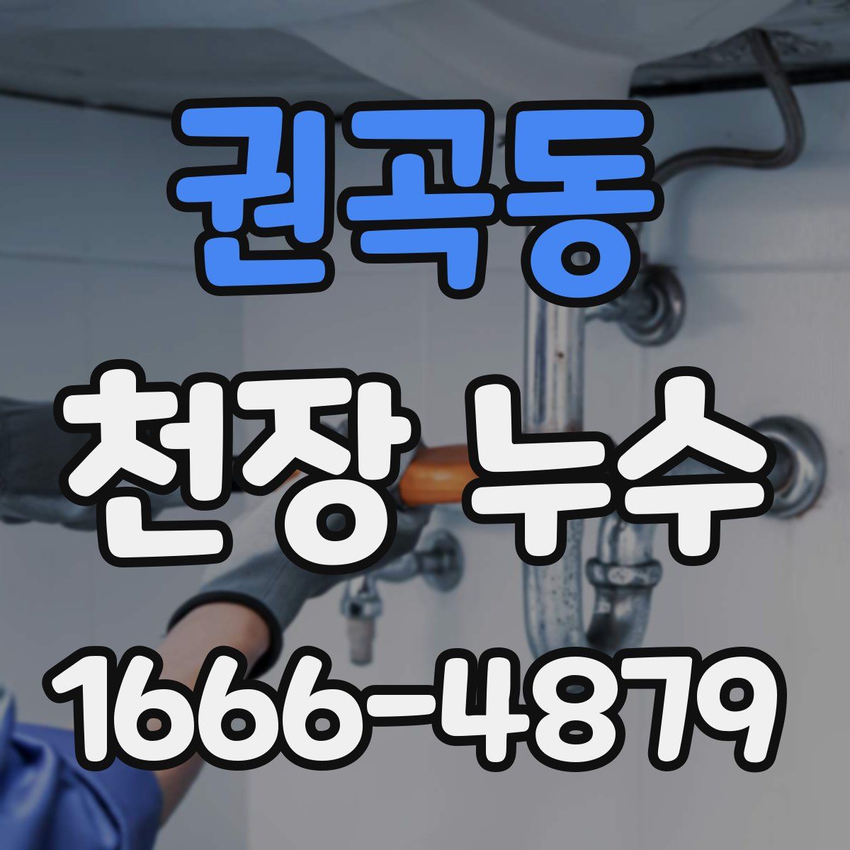 권곡동 천장 누수