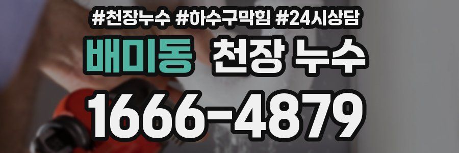 배미동 천장 누수