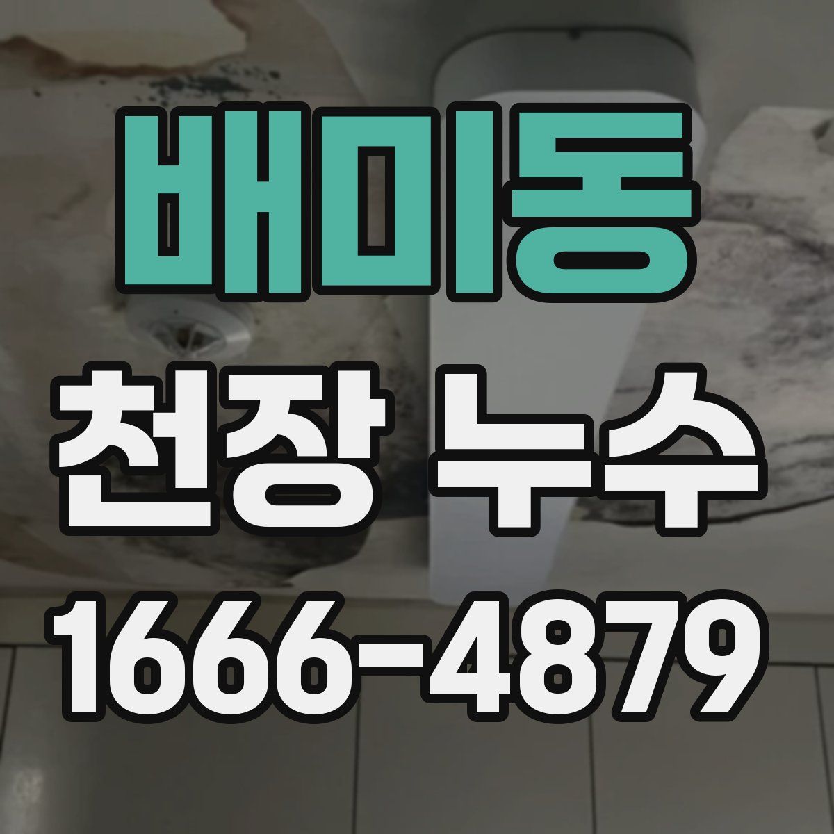 배미동 천장 누수