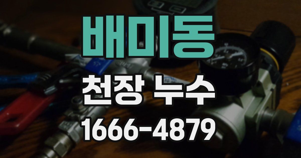 배미동 천장 누수