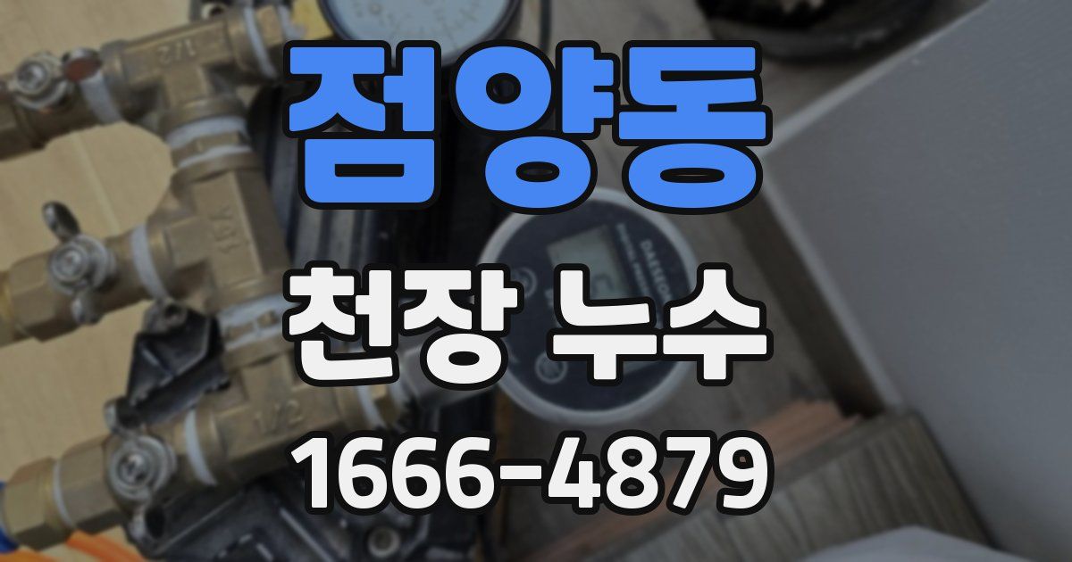 점양동 천장 누수