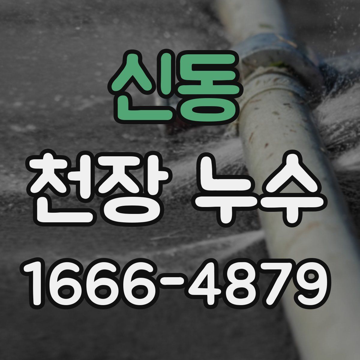 신동 천장 누수