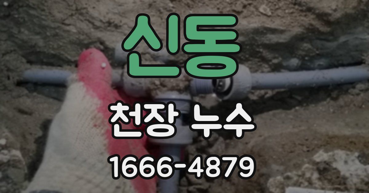 신동 천장 누수