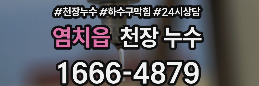 염치읍 천장 누수