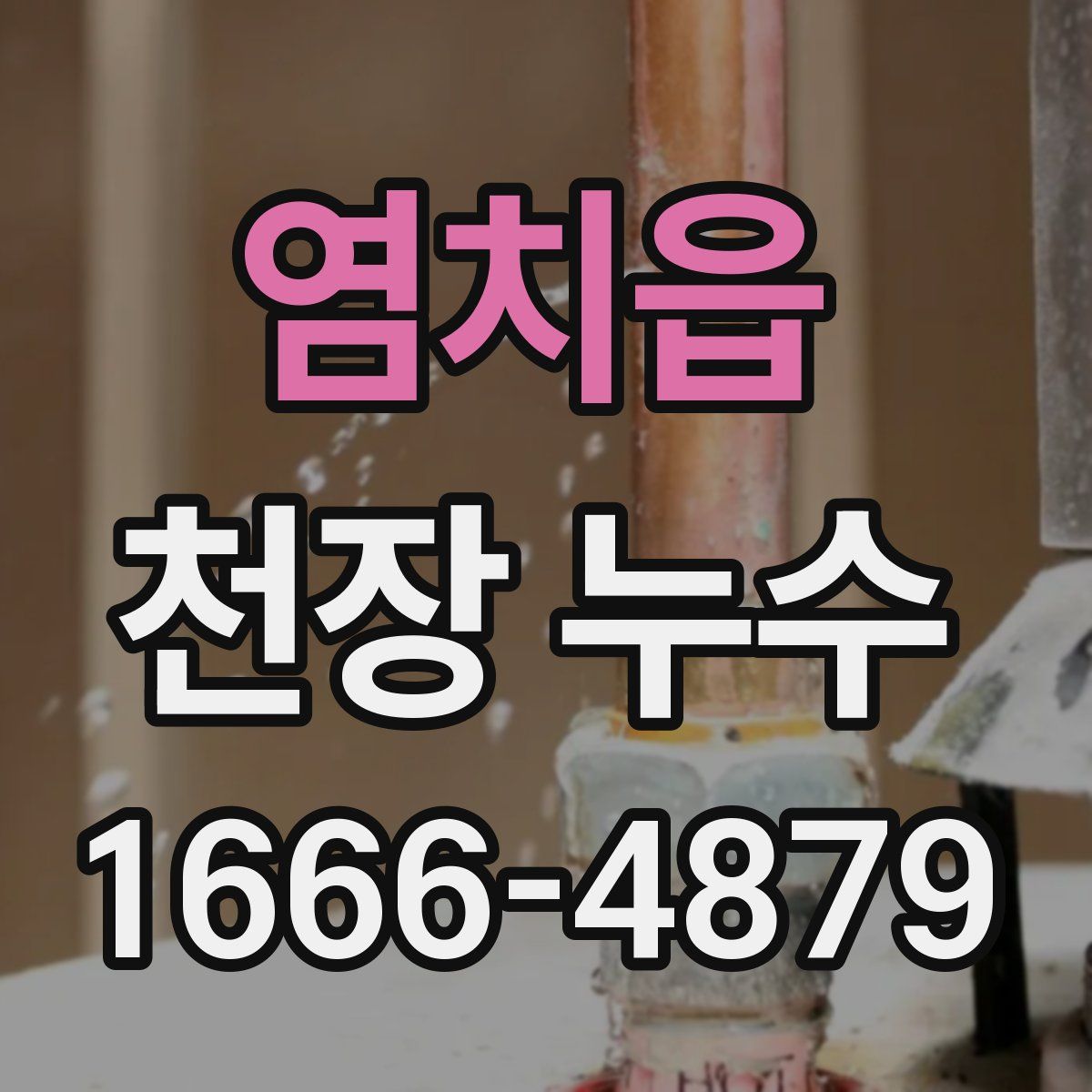 염치읍 천장 누수