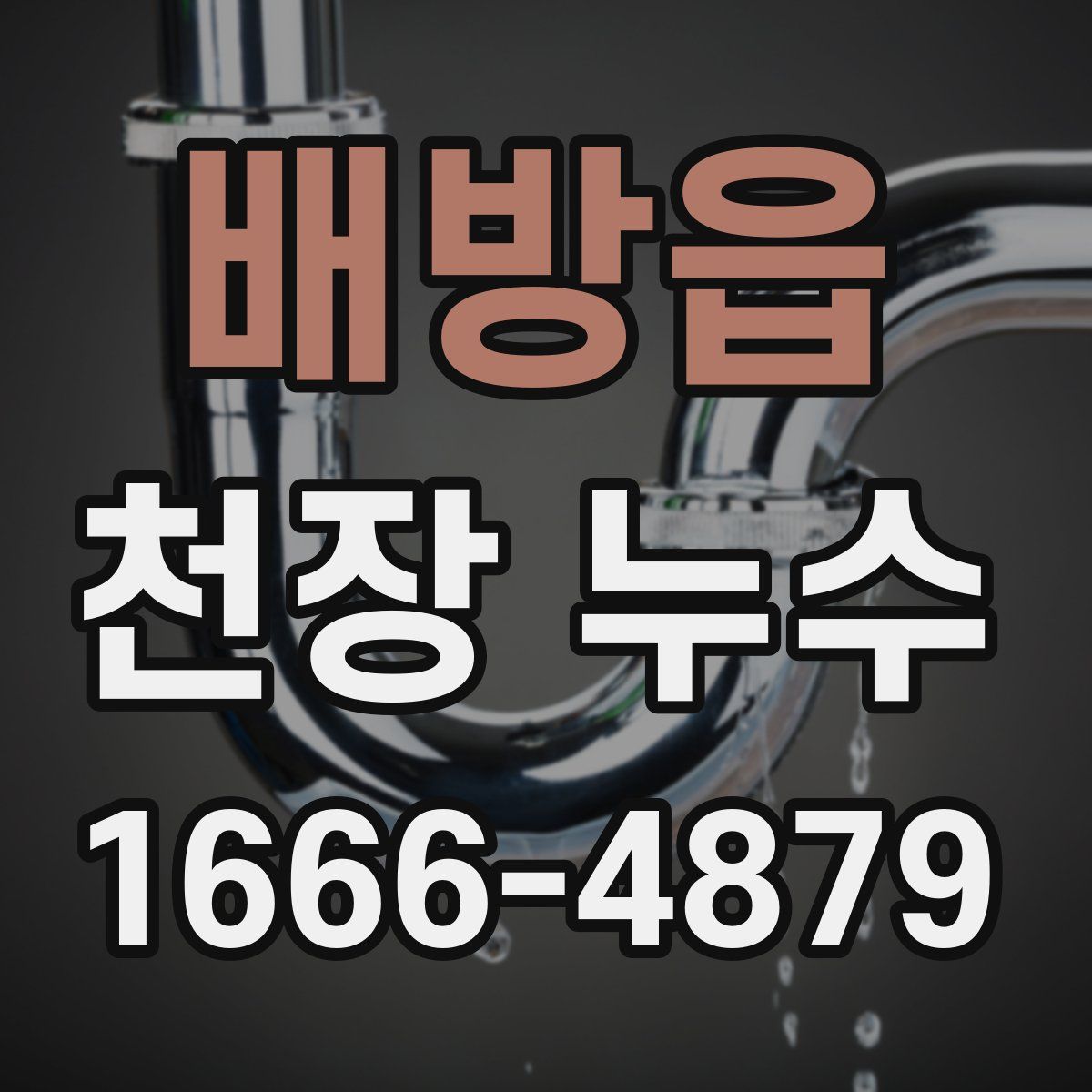 배방읍 천장 누수