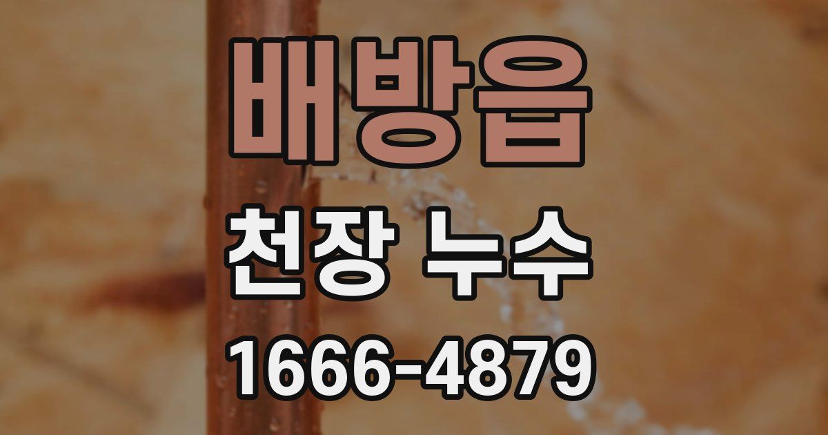 배방읍 천장 누수