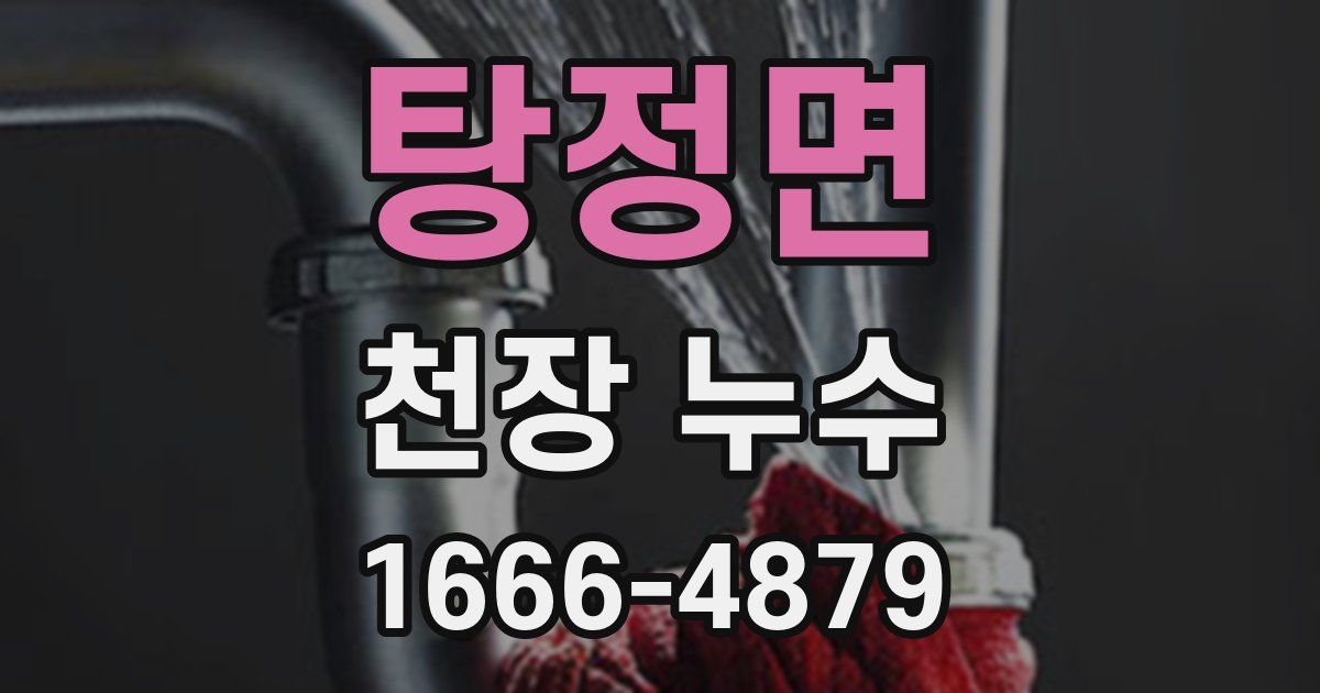 탕정면 천장 누수