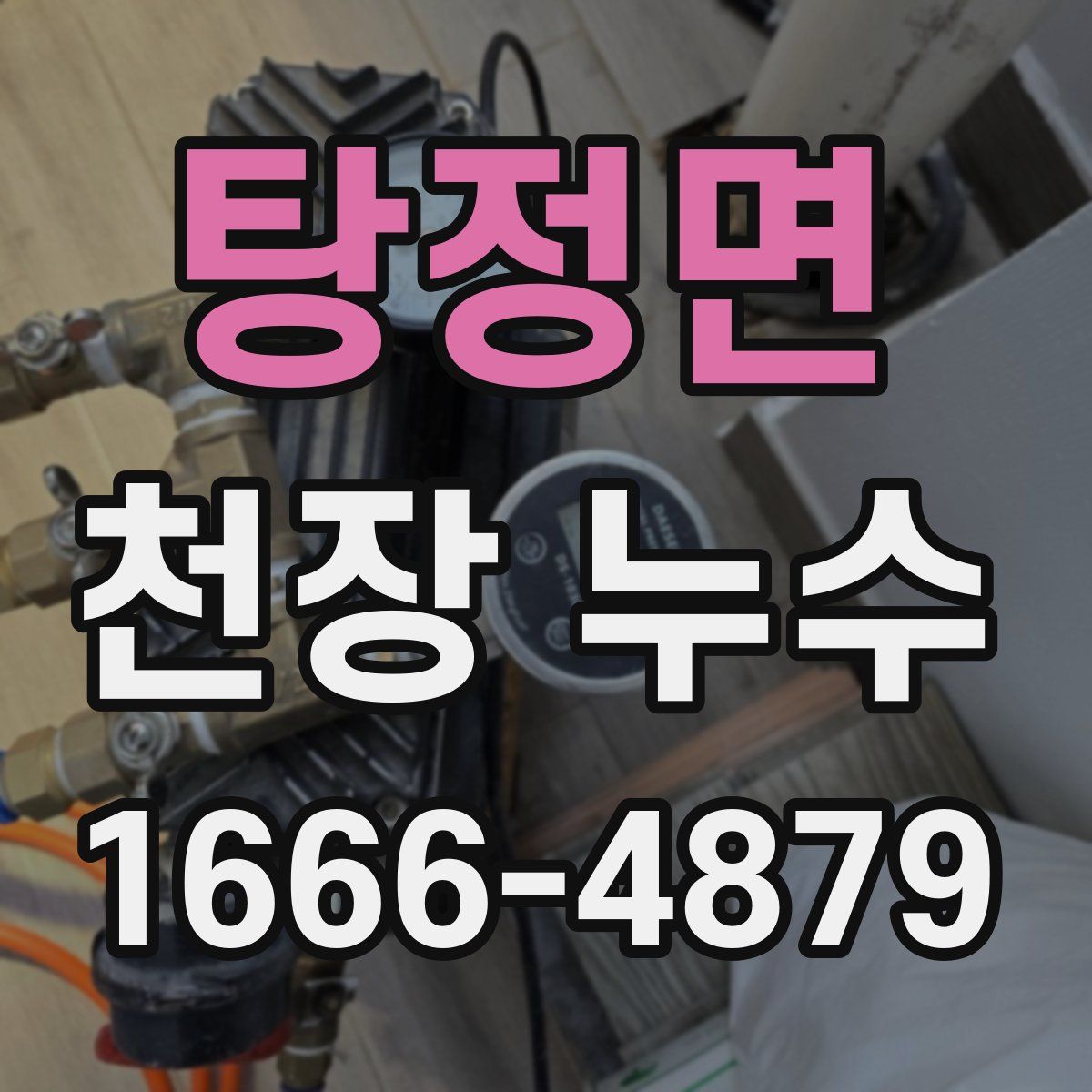 탕정면 천장 누수