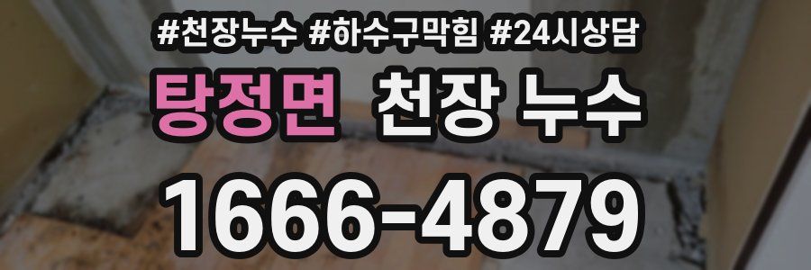 탕정면 천장 누수