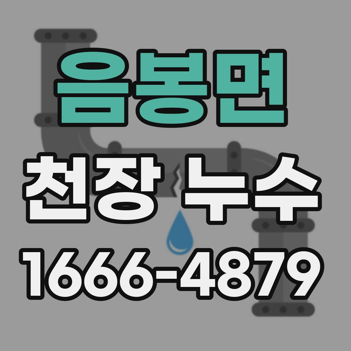 음봉면 천장 누수