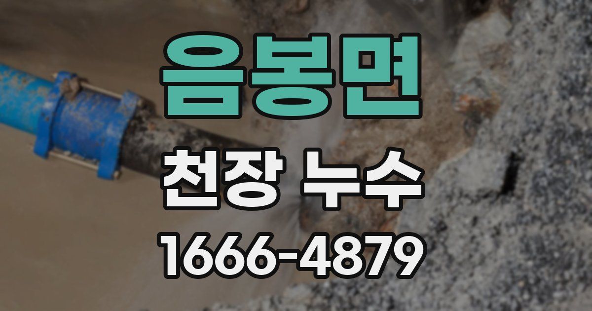 음봉면 천장 누수