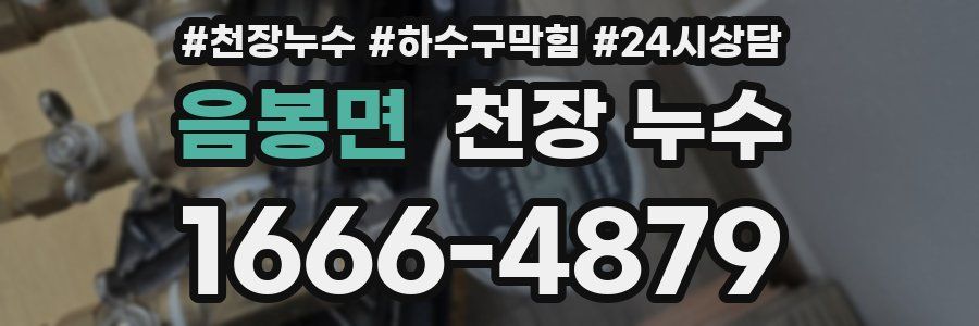 음봉면 천장 누수