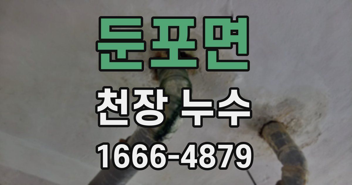 둔포면 천장 누수