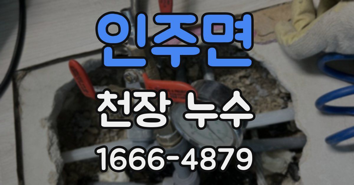 인주면 천장 누수