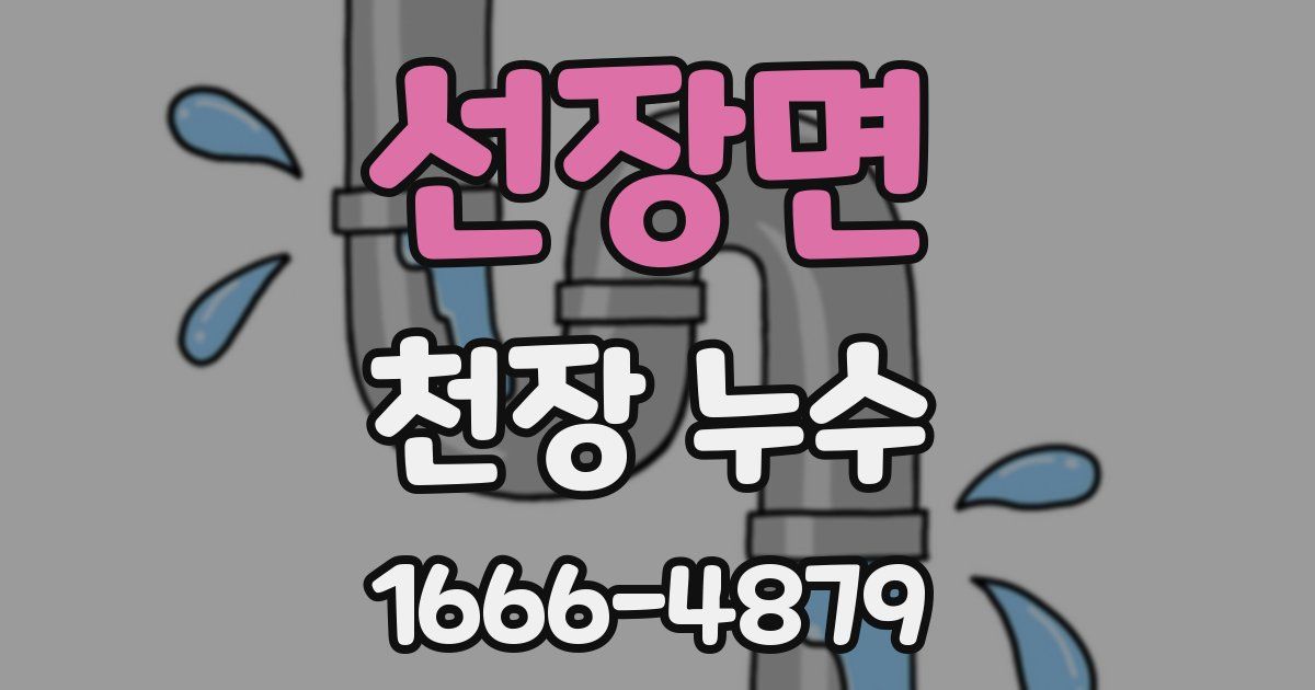 선장면 천장 누수