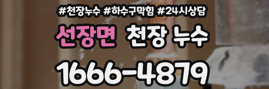 선장면 천장 누수