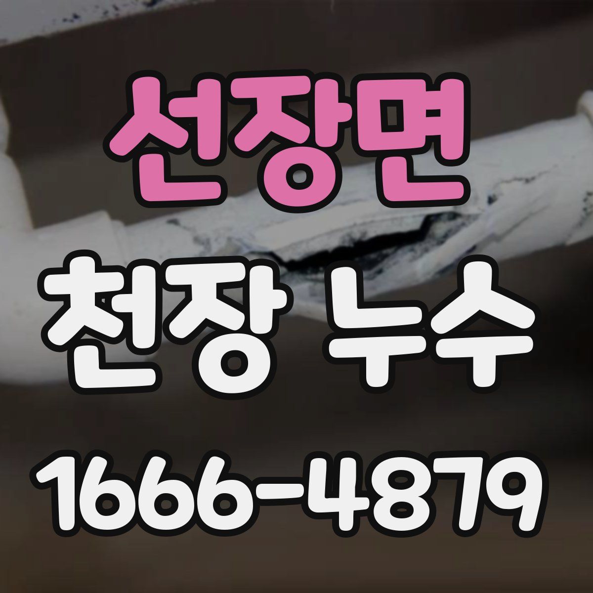 선장면 천장 누수