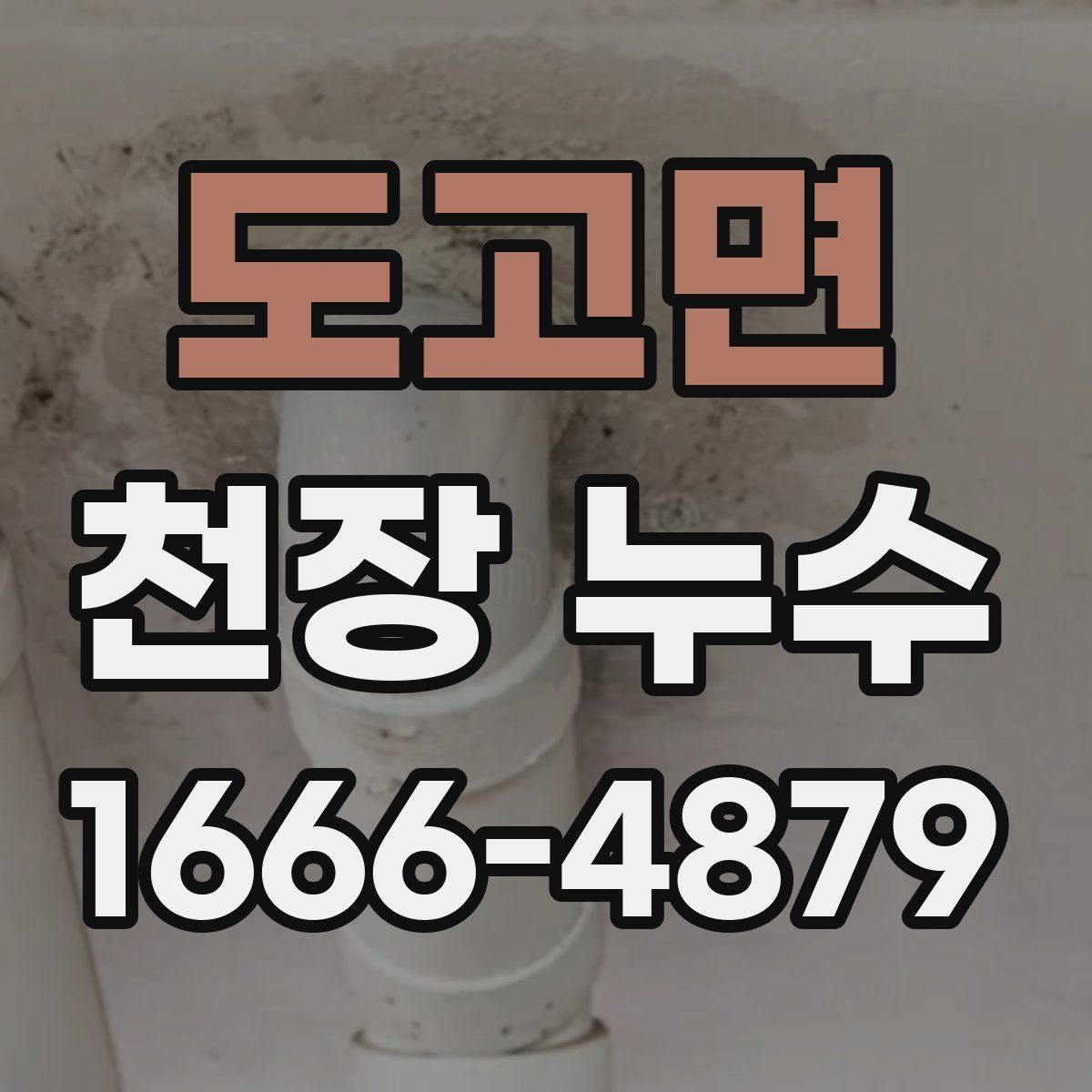 도고면 천장 누수