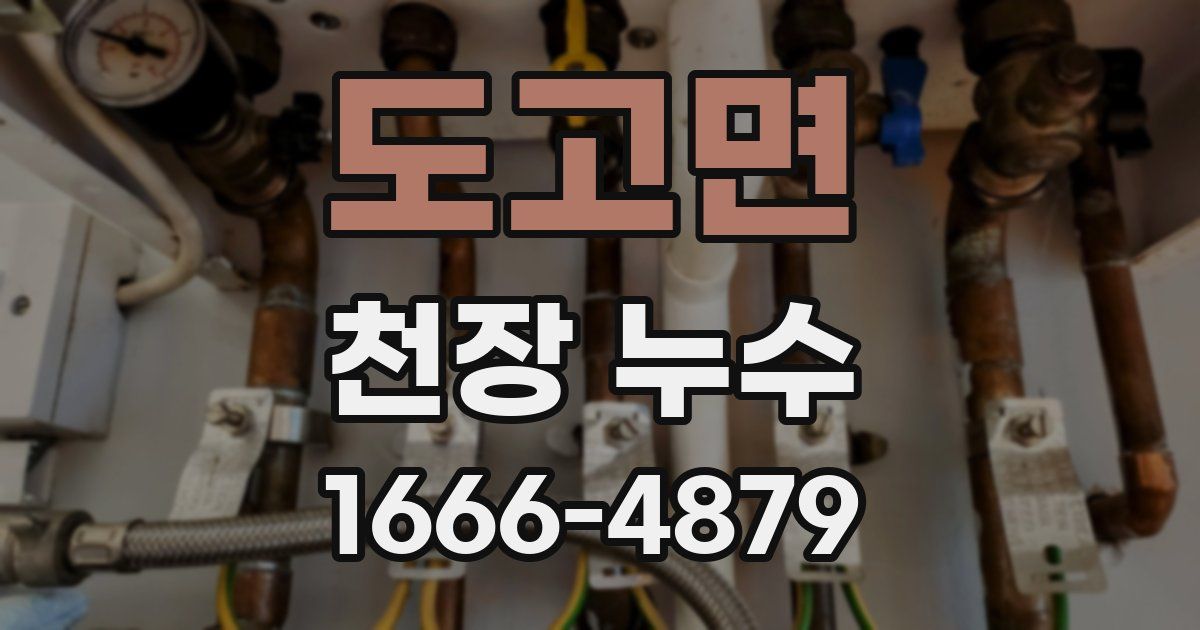 도고면 천장 누수