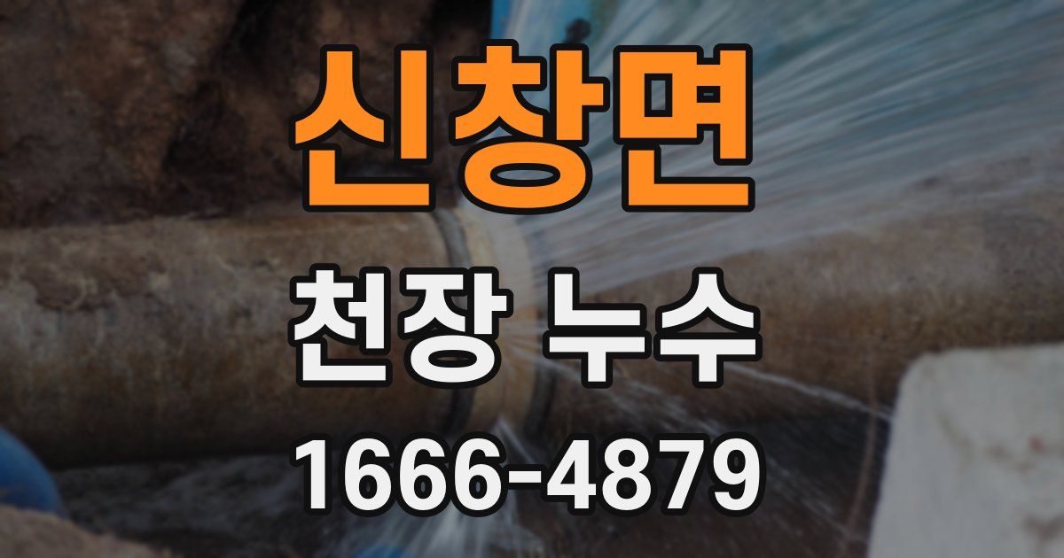 신창면 천장 누수