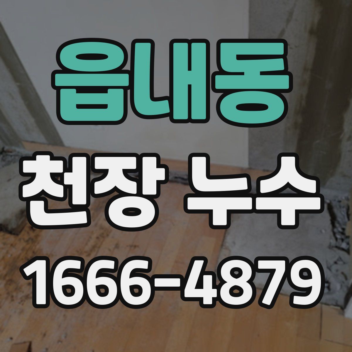 읍내동 천장 누수