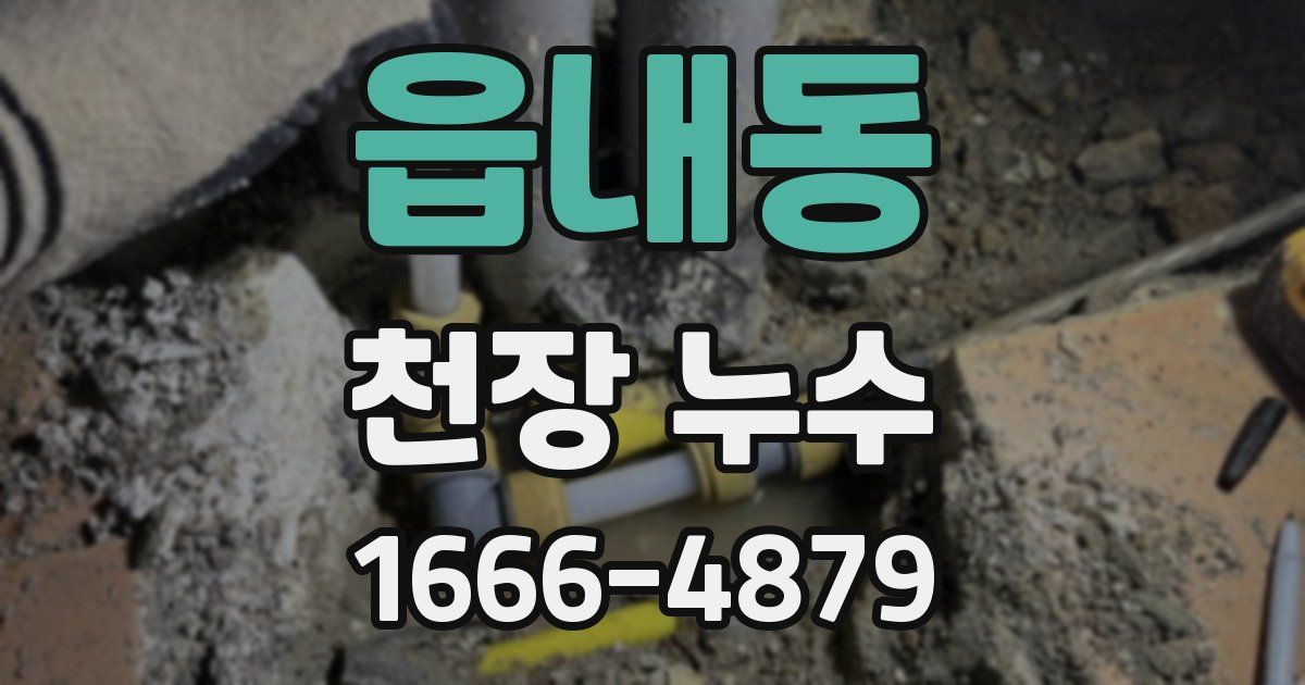 읍내동 천장 누수