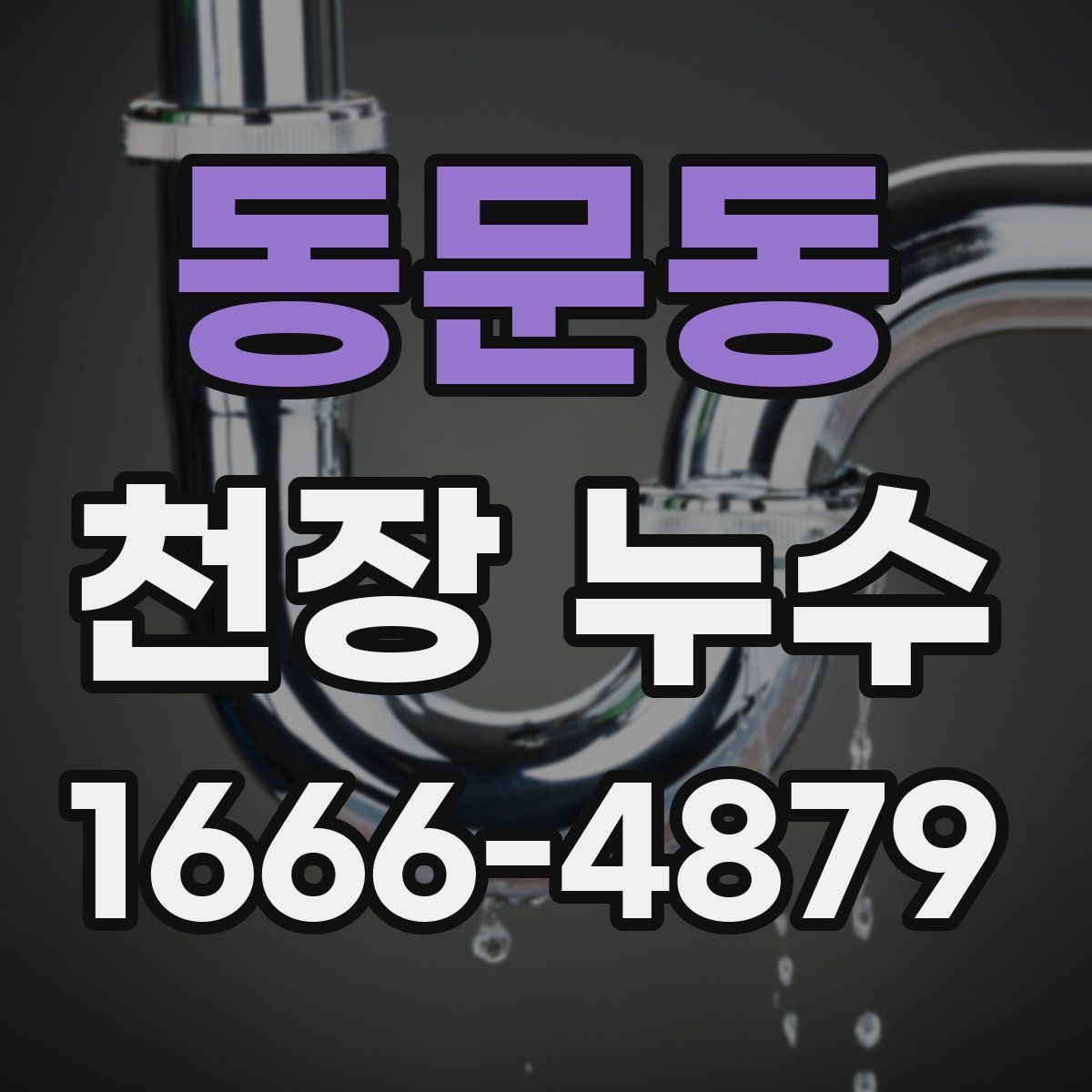 동문동 천장 누수