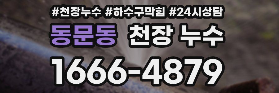 동문동 천장 누수