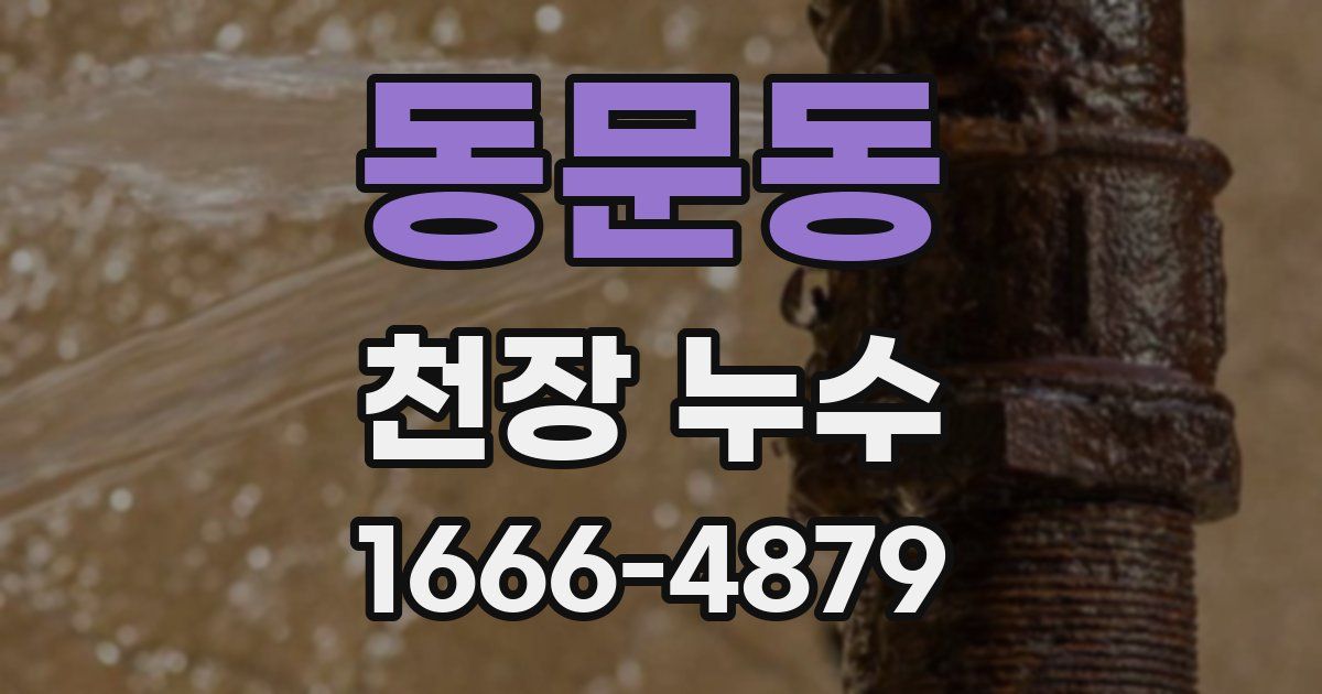 동문동 천장 누수