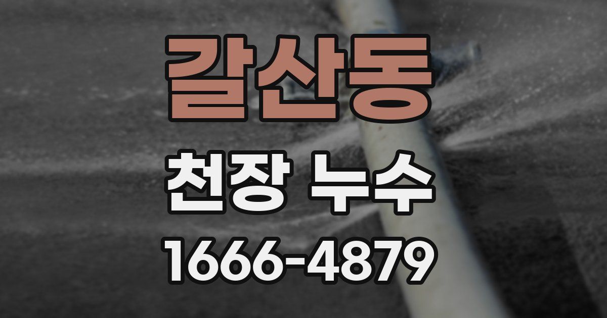 갈산동 천장 누수