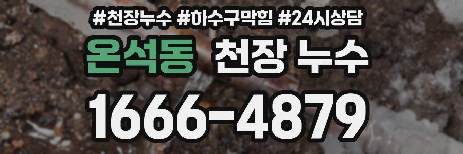 온석동 천장 누수