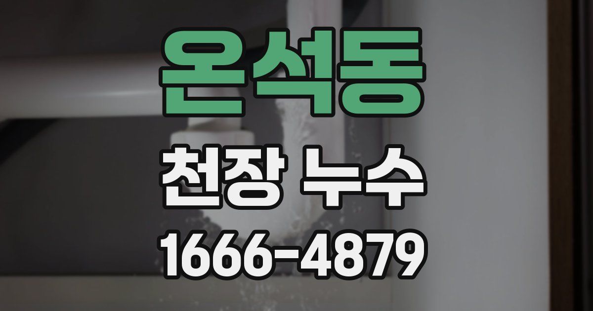 온석동 천장 누수